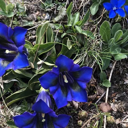 公寓 Apartment In La Tzoumaz Near Ski Slopes *