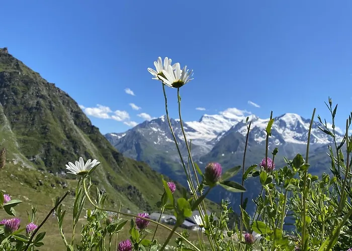 Apartament Cozy Apartment with Balcony in La Tzoumaz